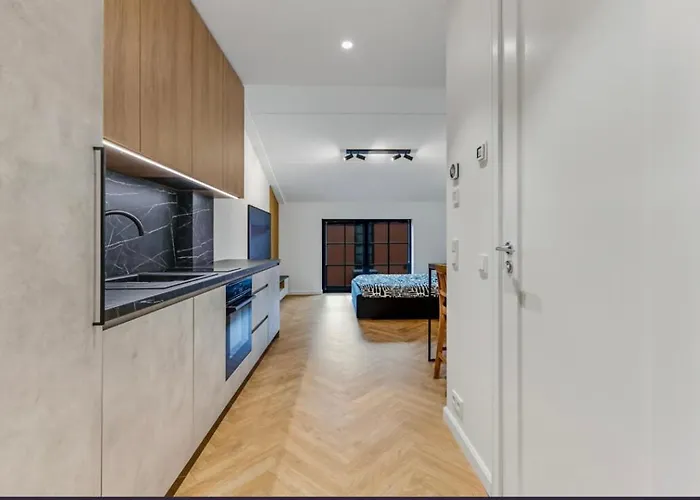 Apartment Volta Loft *